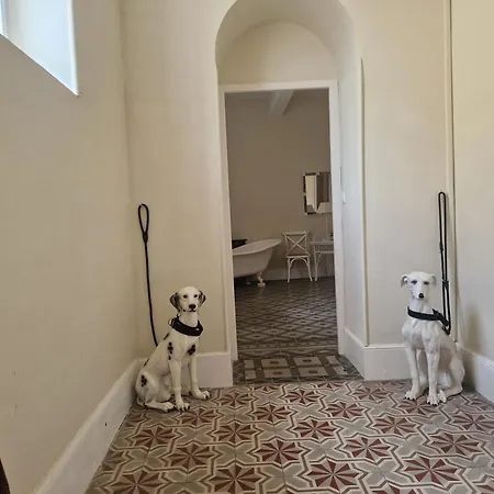 Dom wakacyjny Chateau Ventenac-en-Minervois